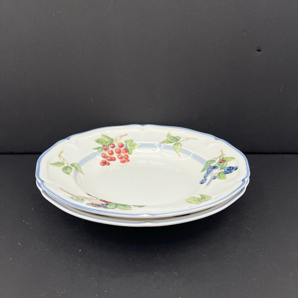 Villeroy & Boch Cottage Fine China Rimmed Soup Bowl Plate. Set of 2 - Picture 2 of 8